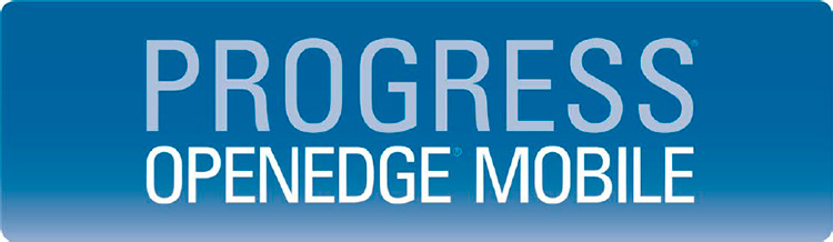 progress openedge 11.6 driver version 7.10 download progress openedge 11.6 driver version 7.10 download